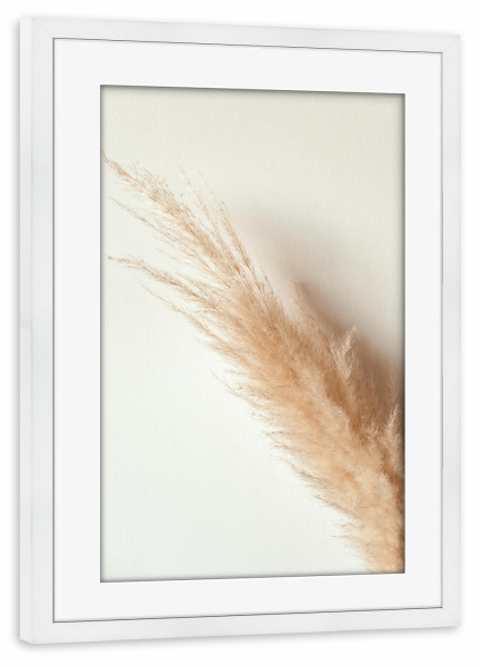 Poster mit Rahmen weiß "Tan pampas grass" artboxONE - Natur - Pampas,Gras,Natur,Nature,Leaves,Blätter,Deko,Boho,Bohemian,Plant,Pflanze,Botanical