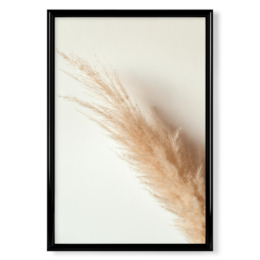 Tan pampas grass