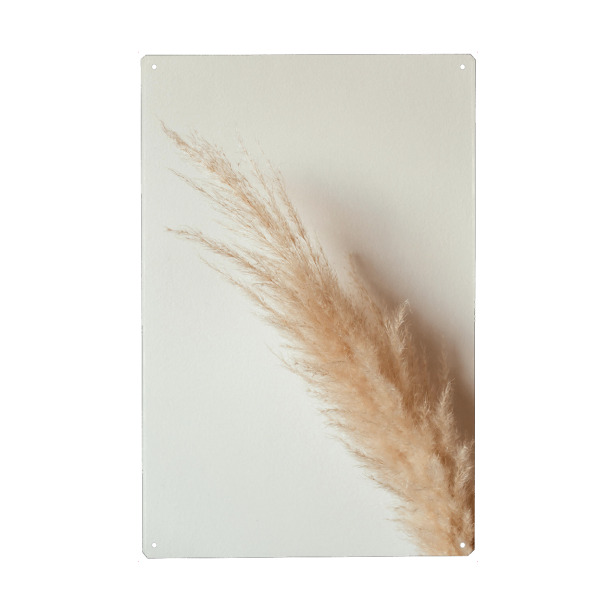 Metall Poster "Tan pampas grass" artboxONE - Natur - Pampas,Gras,Natur,Nature,Leaves,Blätter,Deko,Boho,Bohemian,Plant,Pflanze,Botanical - Blechschild