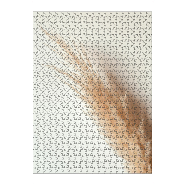 Puzzle Ravensburger "Tan pampas grass" artboxONE - Natur - Pampas,Gras,Natur,Nature,Leaves,Blätter,Deko,Boho,Bohemian,Plant,Pflanze,Botanical