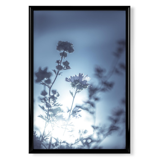 Backlit floral