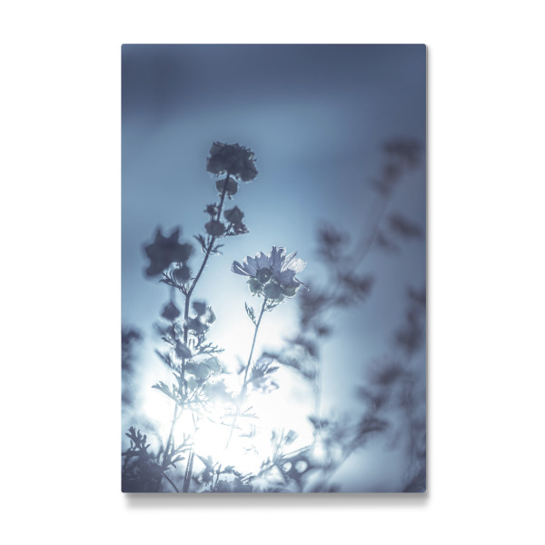 Galerie-Print "Backlit floral" 30x20 cm artboxONE