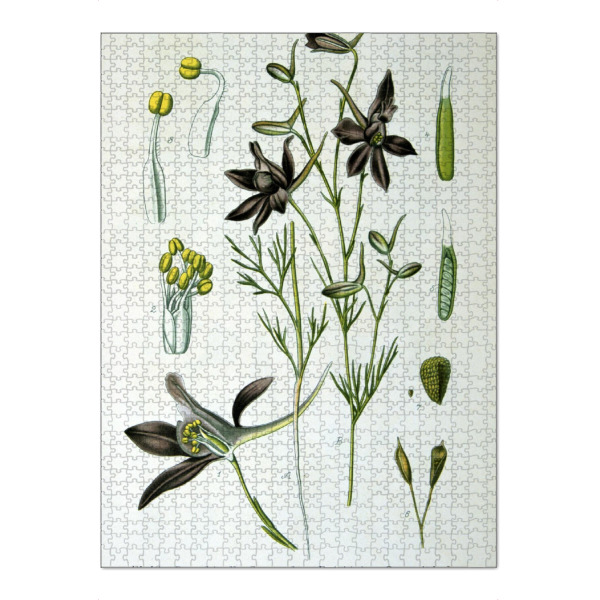 Puzzle Ravensburger "Gewöhnlicher Feldrittersporn" artboxONE - Natur,Floral