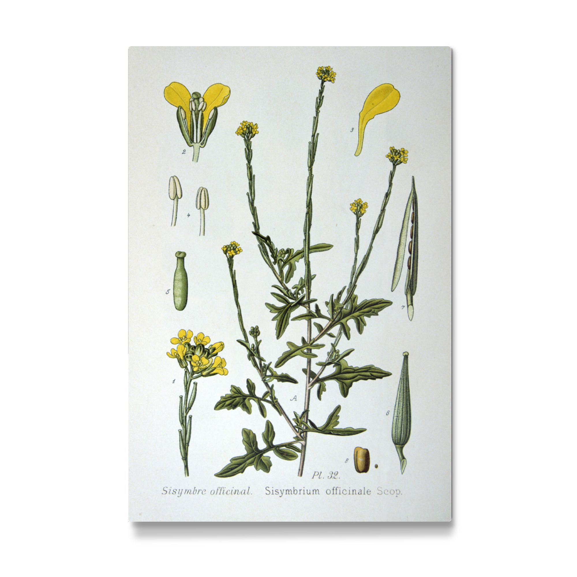 Galerie-Print "Weg-Rauke" 75x50 cm artboxONE