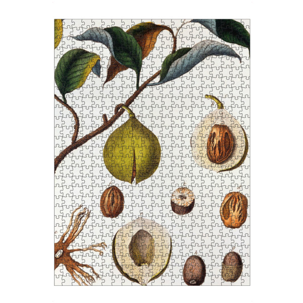 artboxONE Puzzle "Muskatnussbaum" artboxONE - Natur,Floral