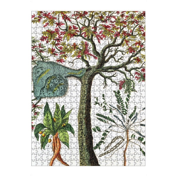 Puzzle Ravensburger "Alraune" artboxONE - Natur,Floral - Science,Botany,Botanisch,Floral,Natur,Nature,Plant,Pflanze,Botanical - Bild science