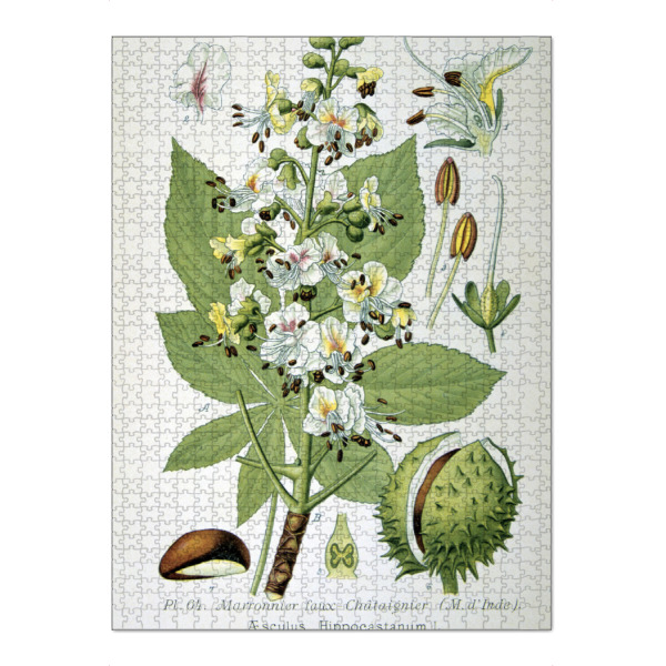 Puzzle Ravensburger "Gewöhnliche Rosskastanie" artboxONE - Natur,Floral