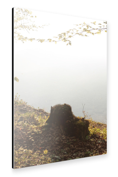 Alu-Dibond "Waldsee" 30x20 cm artboxONE