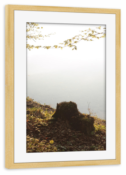 Poster mit Rahmen kiefer "Waldsee" artboxONE - Natur