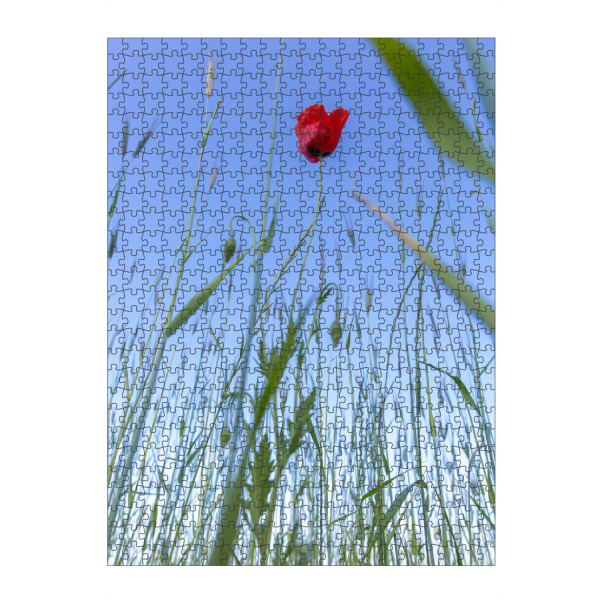 Puzzle Ravensburger "Im Feld" artboxONE - Natur,Floral