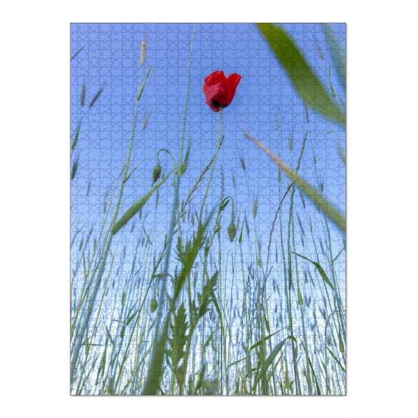 Puzzle Ravensburger "Im Feld" artboxONE - Natur,Floral