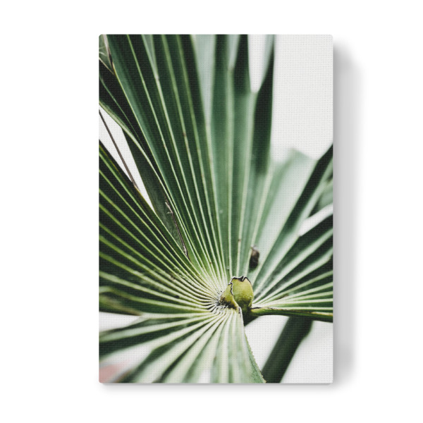 Leinwandbild "Strahlengrün" artboxONE - Natur,Floral - Palmenblatt,Grün,Strahlen,Floral,Sommer,Summer,Palmtree,Green,Natur,Nature,Leaf,Leaves,Blatt