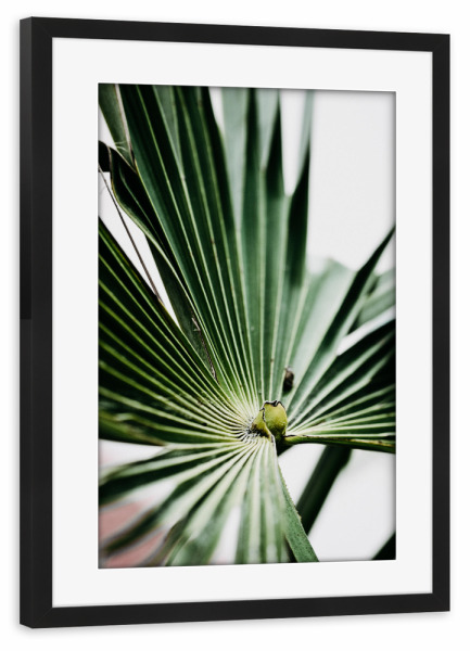 Poster mit Rahmen schwarz "Strahlengrün" artboxONE - Natur,Floral