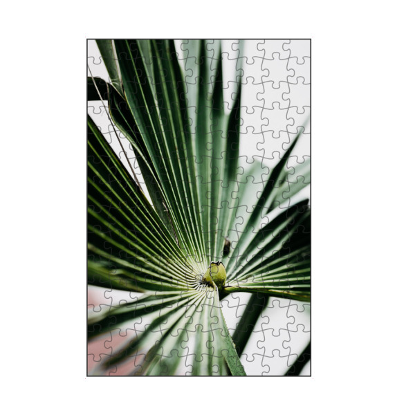 artboxONE Puzzle "Strahlengrün" artboxONE - Natur,Floral