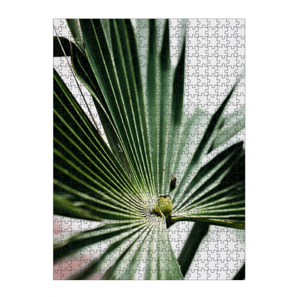 artboxONE Puzzle "Strahlengrün" artboxONE - Natur,Floral