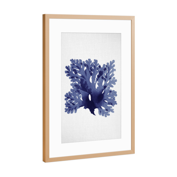 Poster mit Rahmen Kupfer "Seaweed" artboxONE - Natur,Floral,Reise / Strand und Meer,Unterwasser