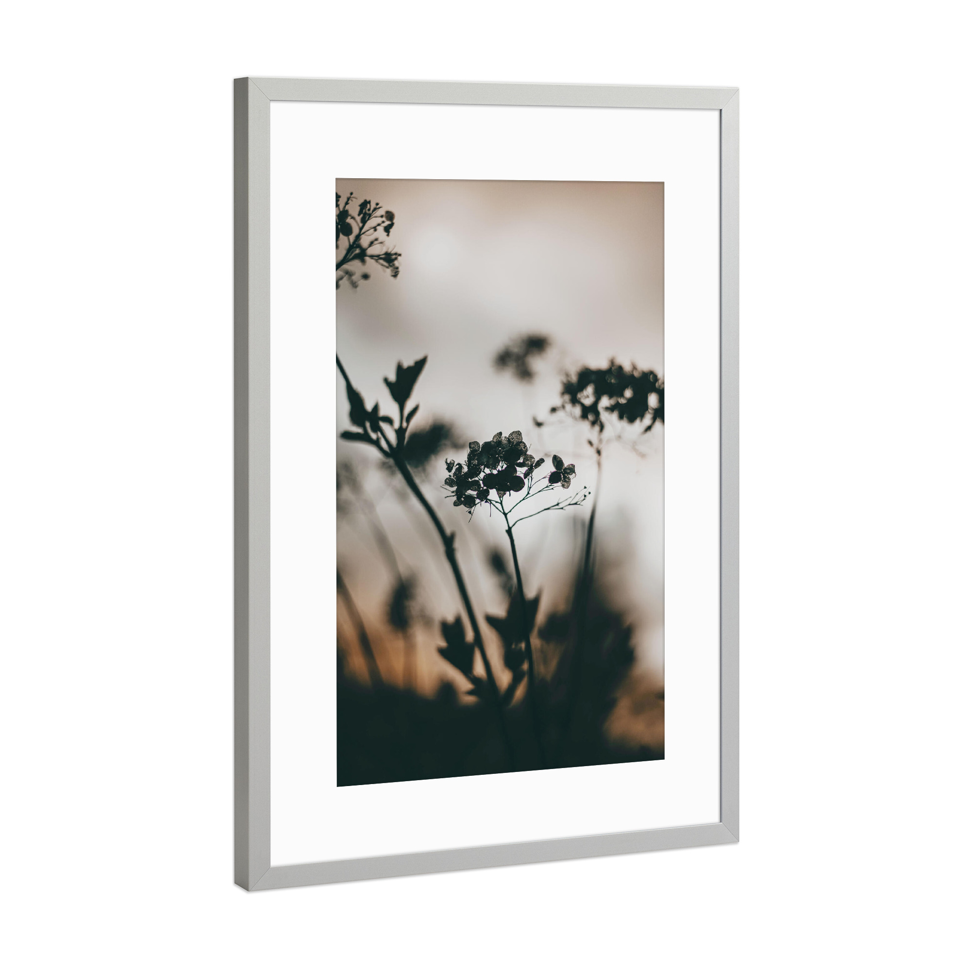 Poster mit Rahmen Silber "Silhouette Plant" artboxONE - Natur,Reise,Floral