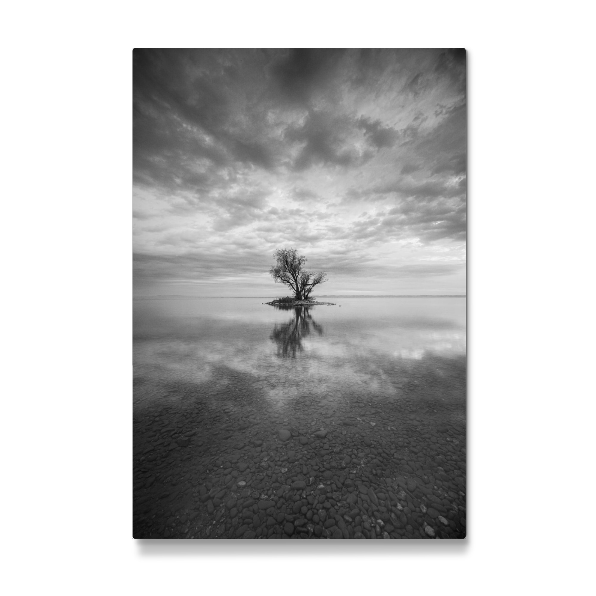 Galerie-Print "Einsamer Baum in Schwarzweiß" 75x50 cm artboxONE