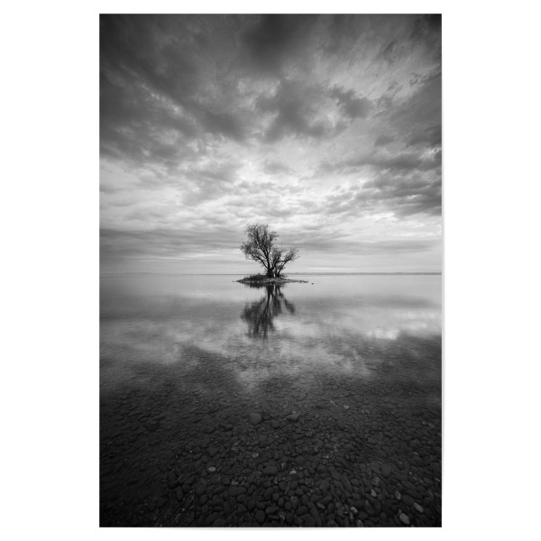 Poster 30x20 cm "Einsamer Baum in Schwarzweiß" artboxONE - Natur,Reise,Reise / Länder