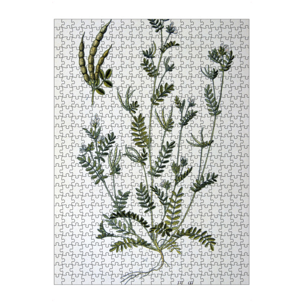 Puzzle Ravensburger "Kleiner Vogelfuß" artboxONE - Natur,Floral