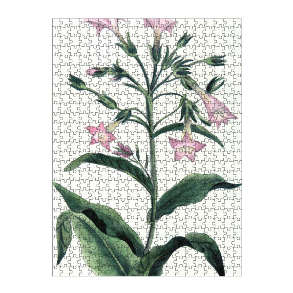 Puzzle Ravensburger "Tabak Pflanze" artboxONE - Natur,Floral