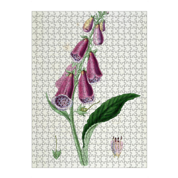 Puzzle Ravensburger "Roter Fingerhut" artboxONE - Natur,Floral