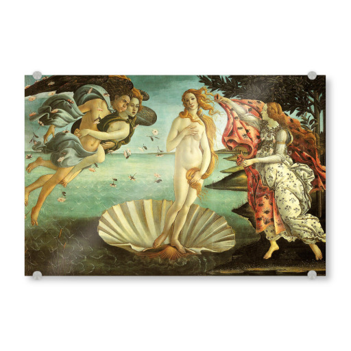 The Birth of Venus Botticelli