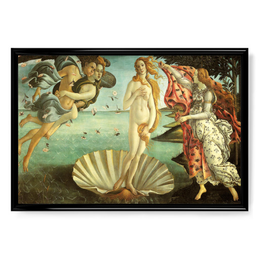 The Birth of Venus Botticelli