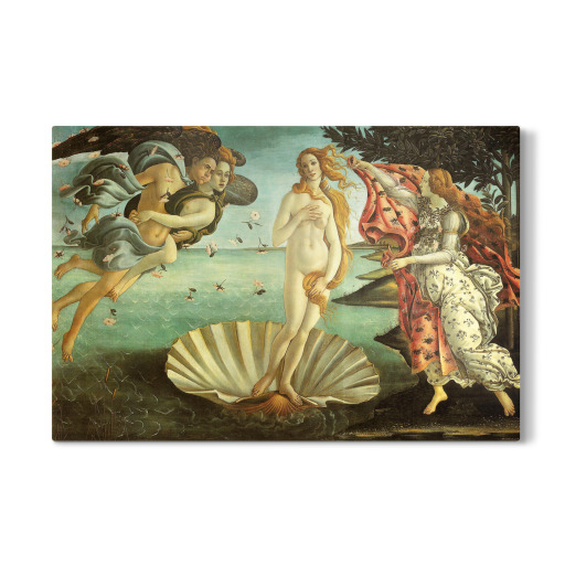 The Birth of Venus Botticelli