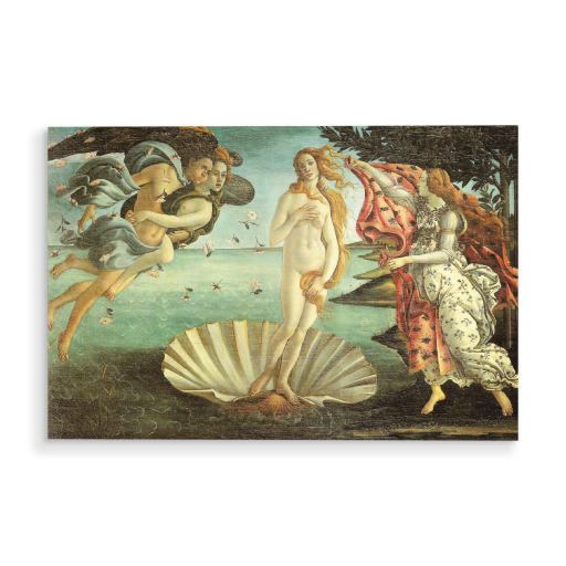 The Birth of Venus Botticelli