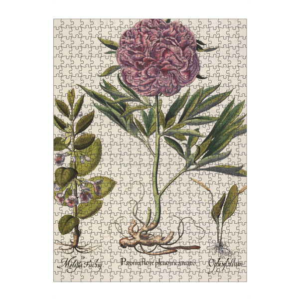 artboxONE Puzzle "Paeonia flore pleno" artboxONE - Natur,Floral