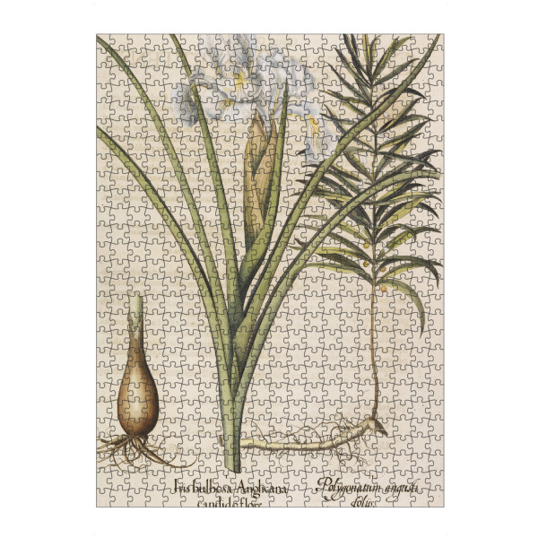 Puzzle Ravensburger "Iris bulbosa Anglicana" artboxONE - Natur,Floral