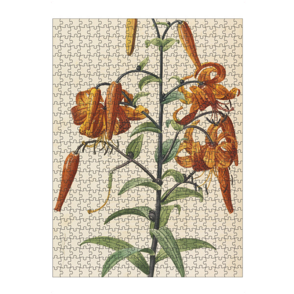 Puzzle Ravensburger "Liliengewächse" artboxONE - Natur,Floral
