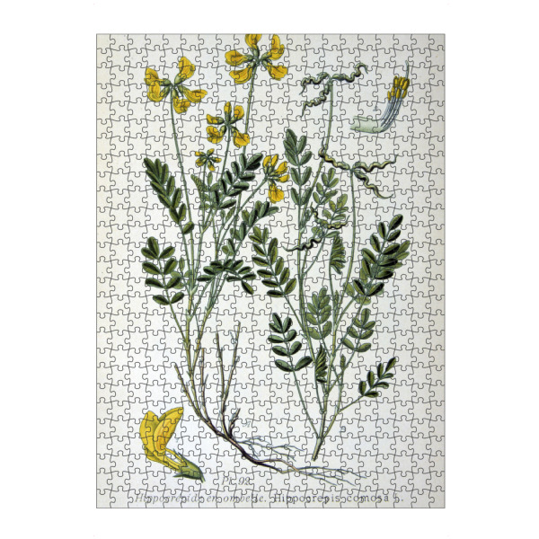 artboxONE Puzzle "Hufeinsenklee" artboxONE - Natur,Floral
