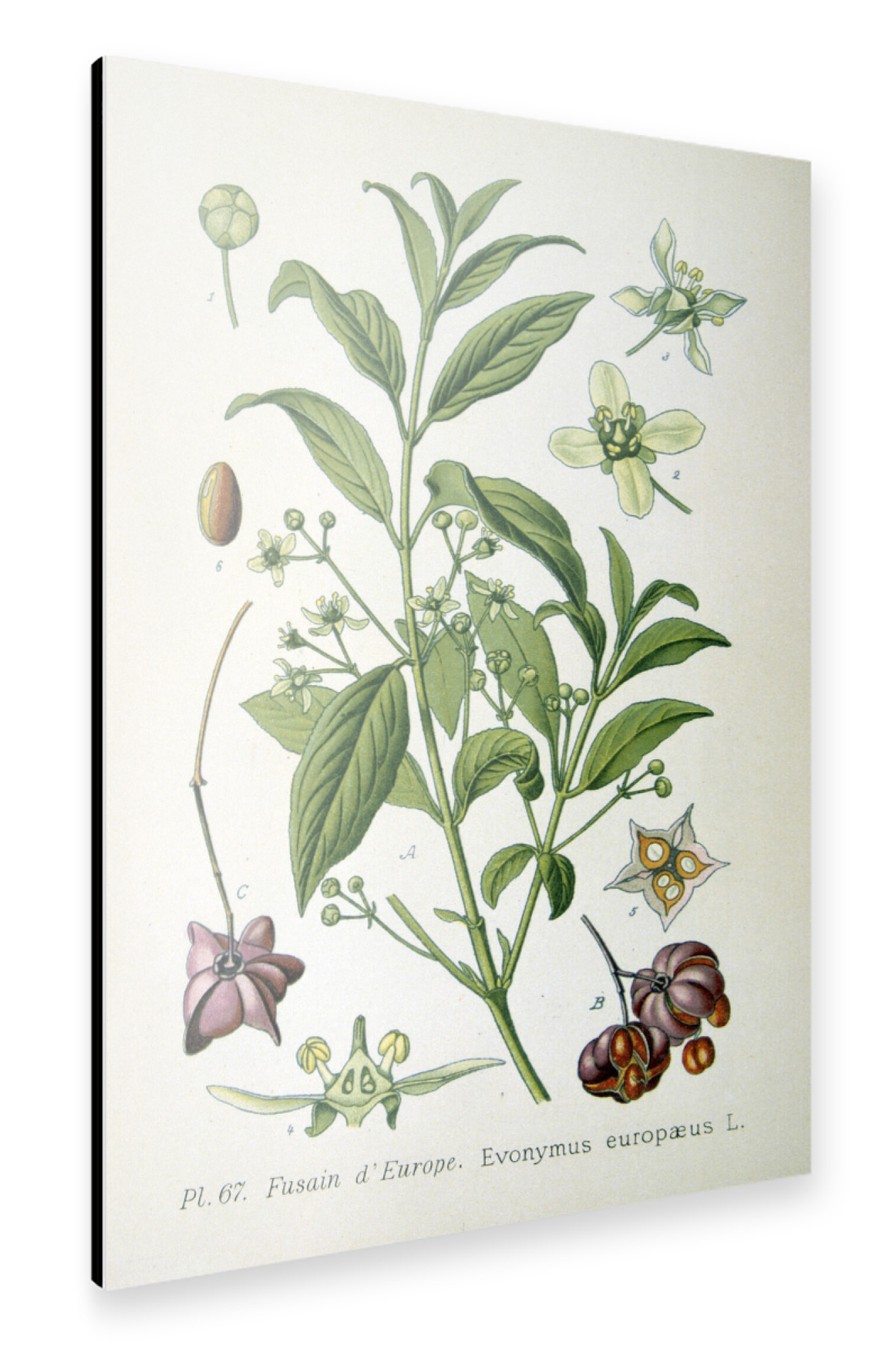 Alu-Dibond "Pfaffenhüttchen" 75x50 cm artboxONE