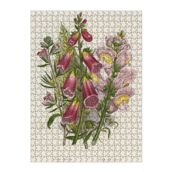 Puzzle Ravensburger "Löwenmäulchen" artboxONE - Natur,Floral