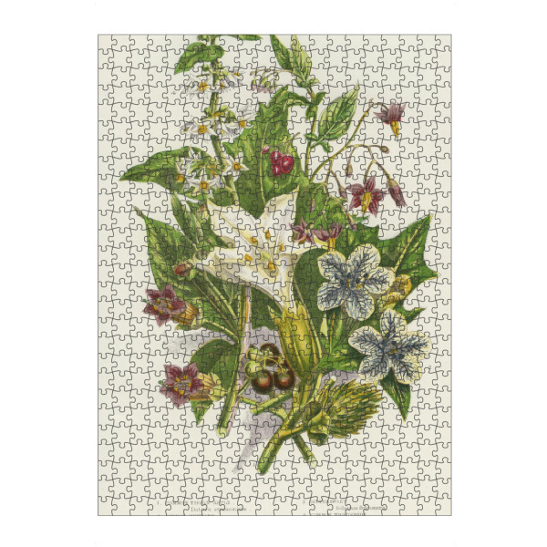 Puzzle Ravensburger "Nachtschattengewächse" artboxONE - Natur,Floral