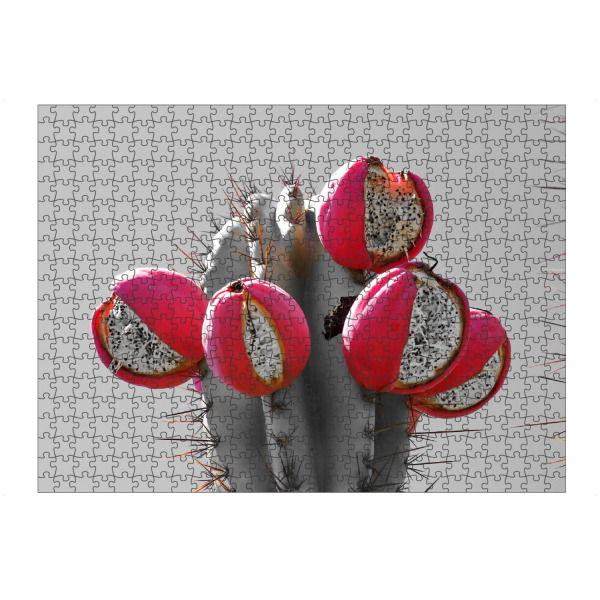 artboxONE Puzzle "Kaktus mit roten Früchten ck" artboxONE - Natur,Floral,Reise / Afrika