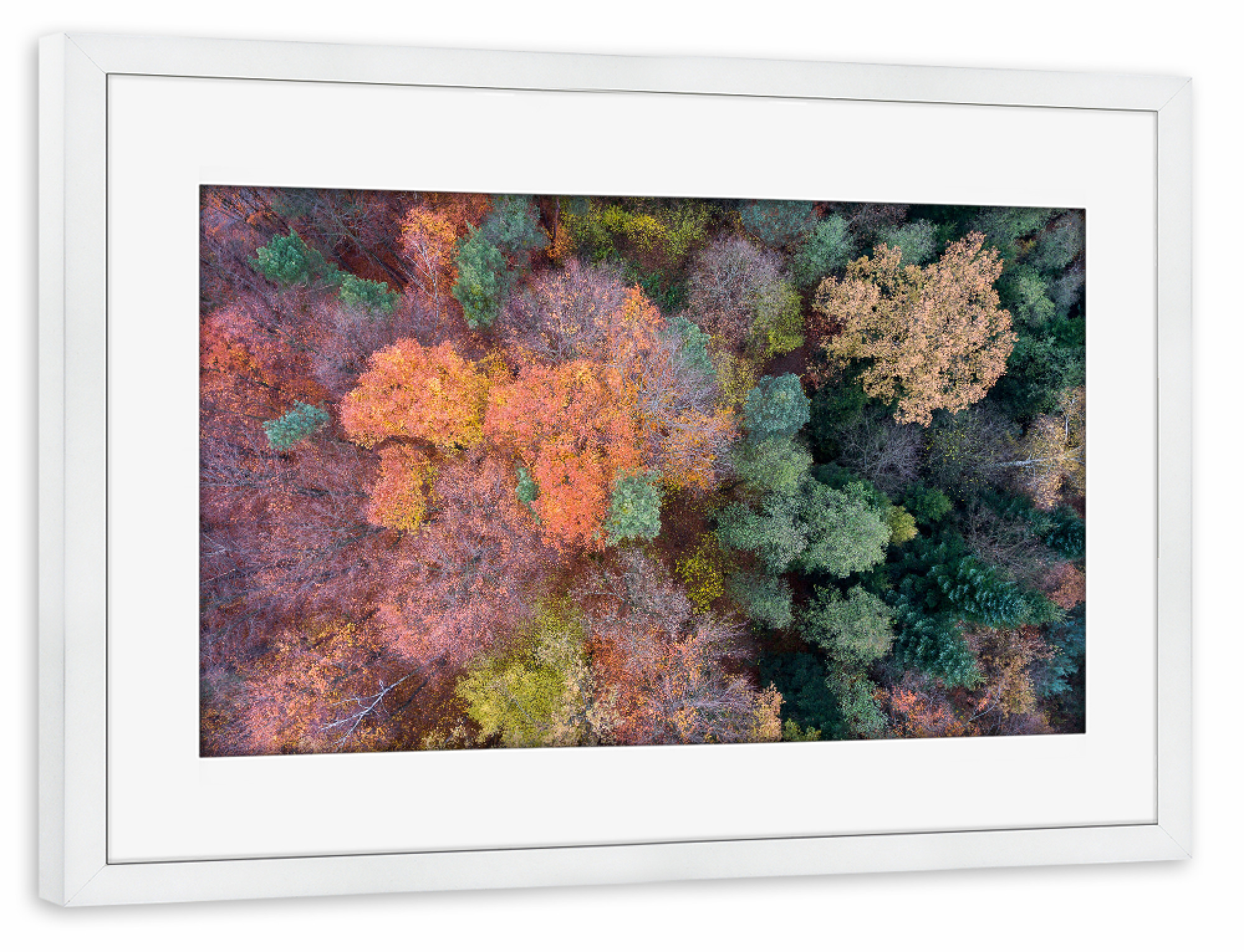 Poster mit Rahmen weiß "Autumn colors" artboxONE - Natur,Reise