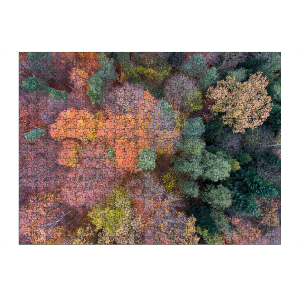 artboxONE Puzzle "Autumn colors" artboxONE - Natur,Reise