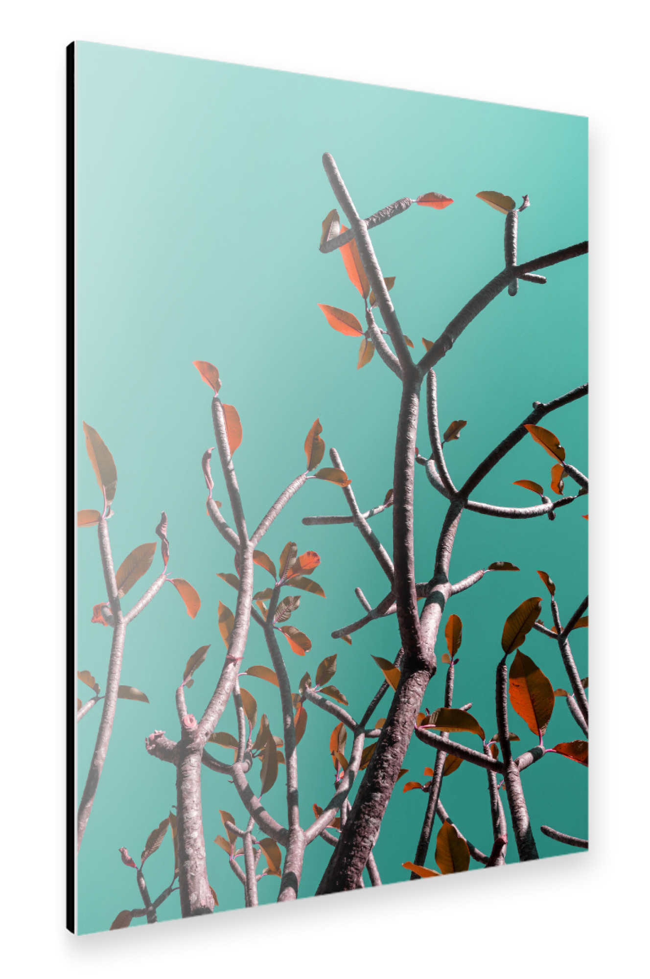 Alu-Dibond "Pop Tree Green" 30x20 cm artboxONE