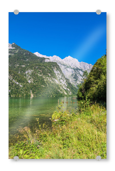 Acrylglasbild "Ufer des Königssees" artboxONE - Natur,Reise