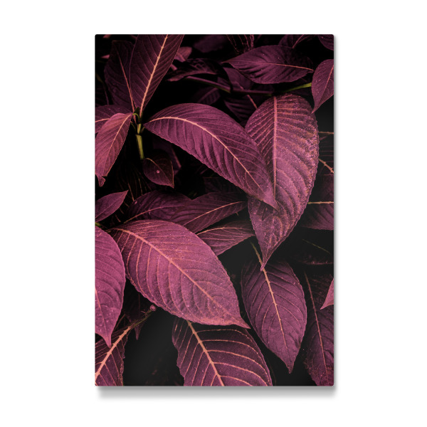 Galerie-Print "Purple Leaves" 30x20 cm artboxONE