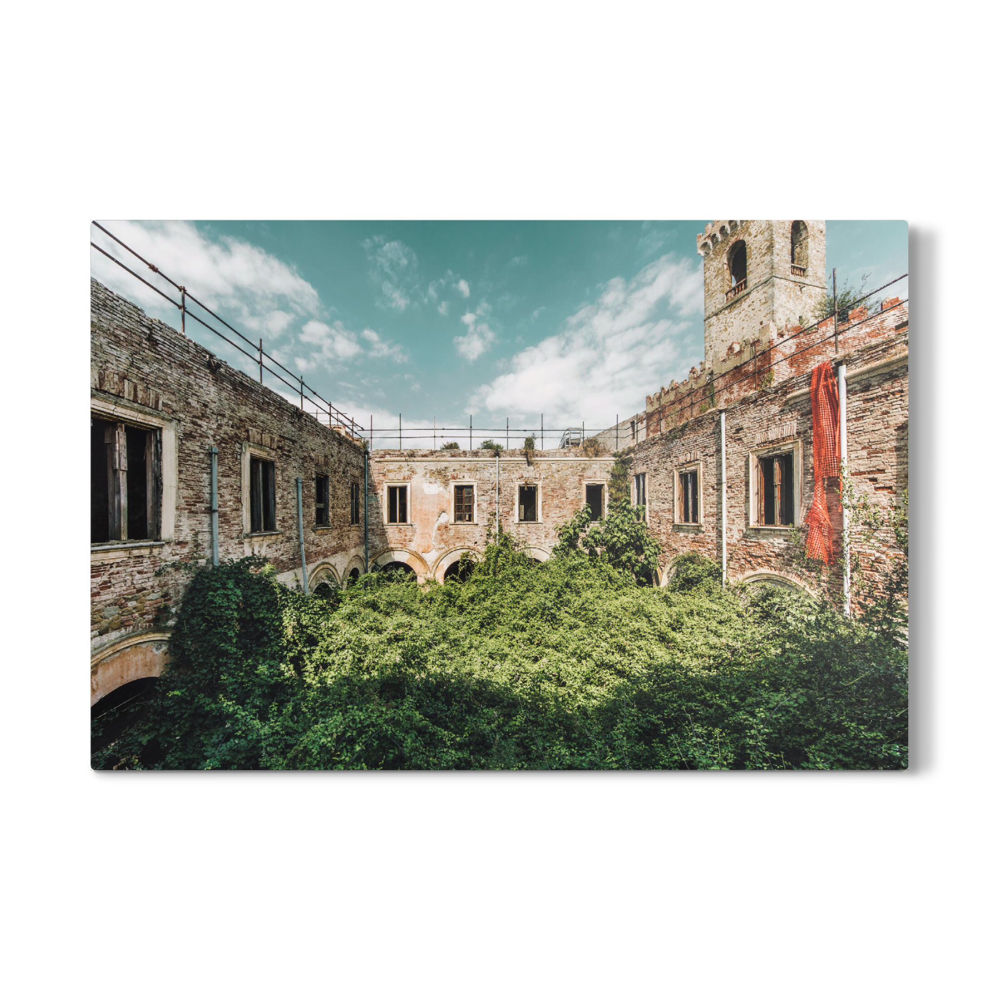 Galerie-Print "Jungle Boogie" 30x20 cm artboxONE