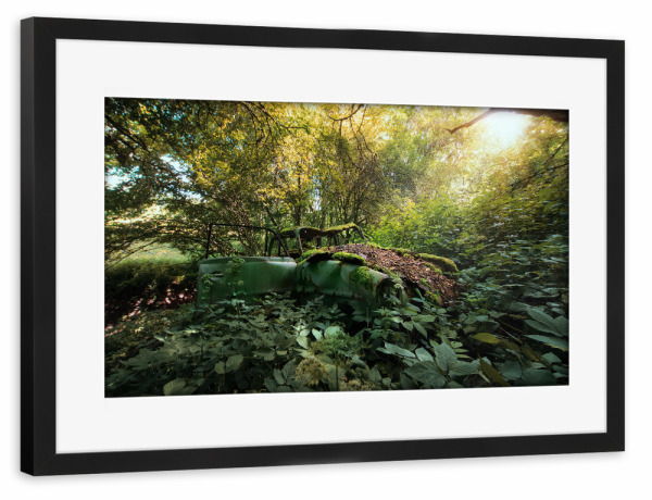 Poster mit Rahmen schwarz "Beauty in Sunlight" artboxONE - Natur,Automobile