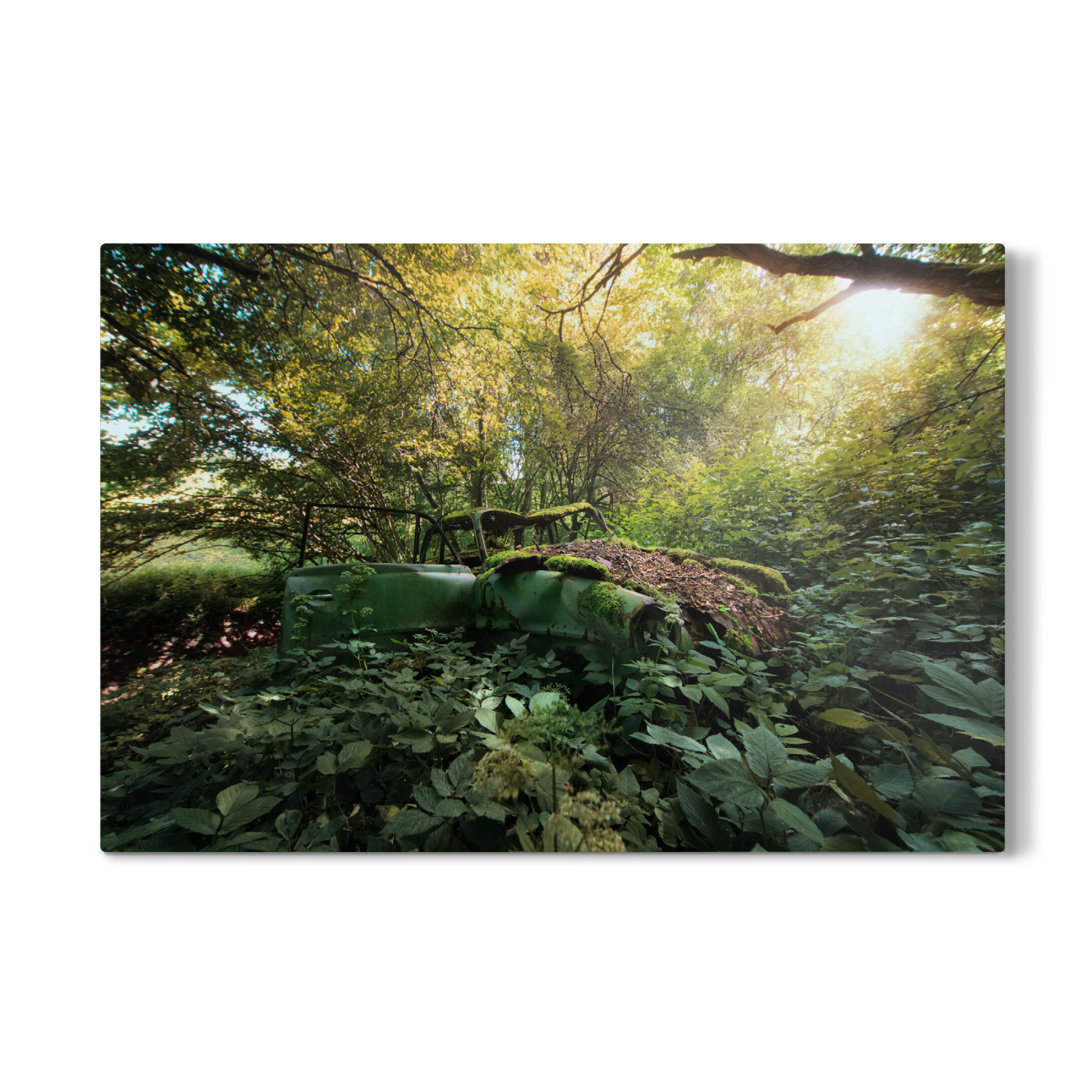 Galerie-Print "Beauty in Sunlight" 30x20 cm artboxONE