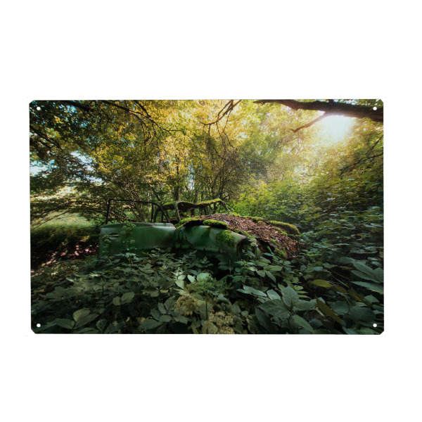 Metall Poster "Beauty in Sunlight" artboxONE - Natur,Automobile