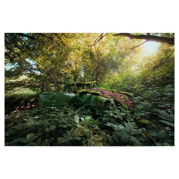 Poster 30x20 cm "Beauty in Sunlight" artboxONE - Natur,Automobile