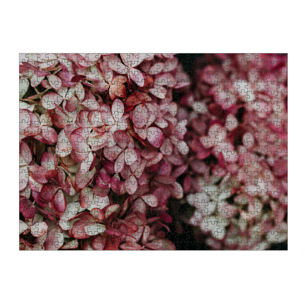 artboxONE Puzzle "Blütenmeer" artboxONE - Natur,Floral - Hortensie,Bume,Floral,Rosa,Pink,Nature,Natur,Botanical,Botanisch - Bild hortensie