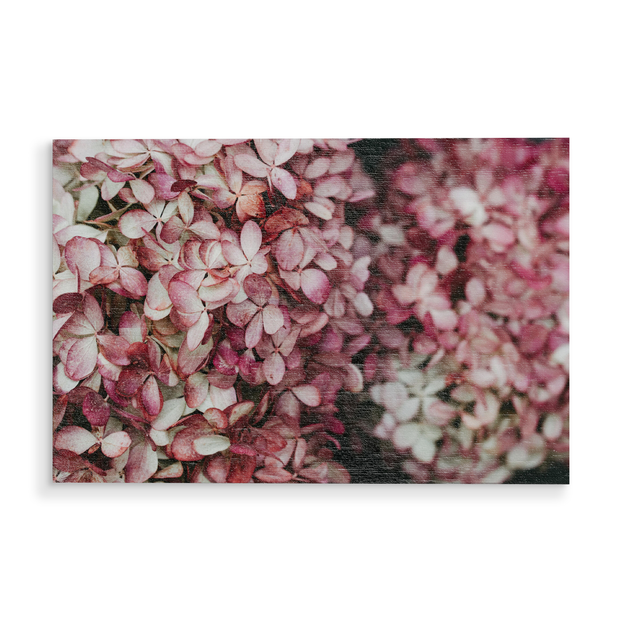 Holzbild "Blütenmeer" artboxONE - Natur,Floral - Hortensie,Bume,Floral,Rosa,Pink,Nature,Natur,Botanical,Botanisch